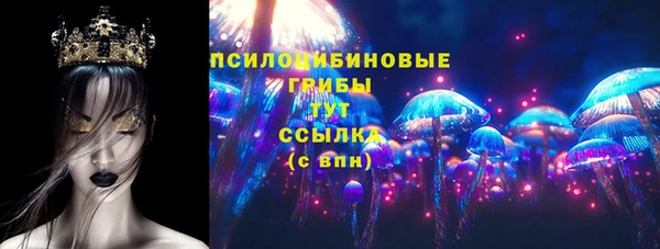 хмурый Бронницы