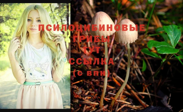 мяу мяу мука Бородино