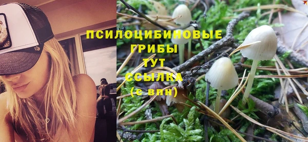 мяу мяу мука Бородино